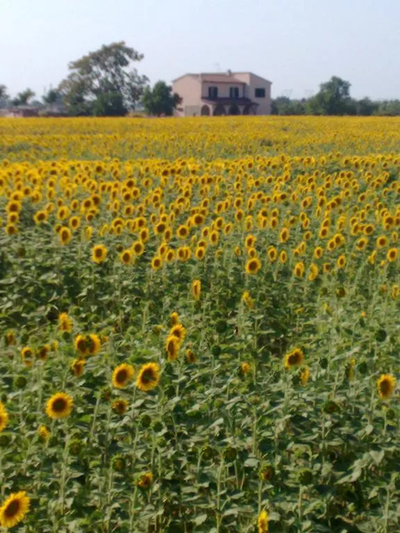 Country house Casale Piombino Golfo Follonica Elba Guest House Italy
